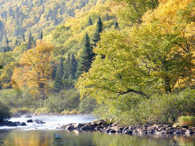 Vallée de la Jacques-Cartier, couleurs d'automne. P9280014