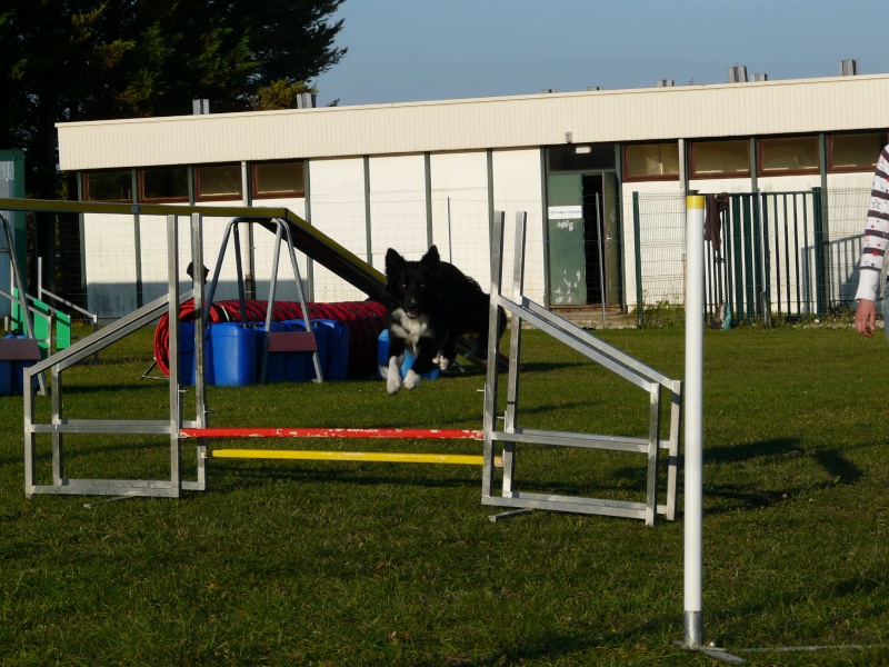 cours mardi dernier (photo) Photo_10