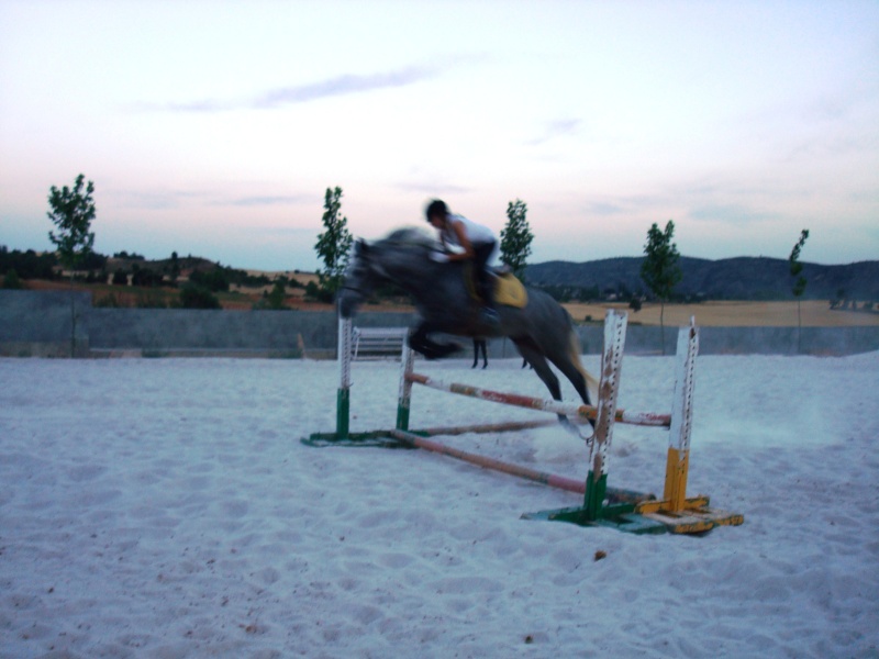 fotis de salto de obstaculos. Dsc01610