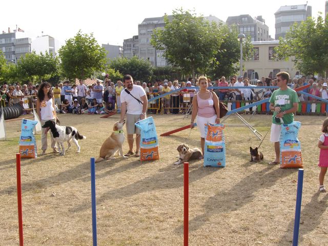 Concurso de perros mestizos el 21 de agosto Imgp0311