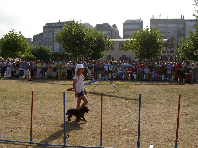 Concurso de perros mestizos el 21 de agosto Imgp0313