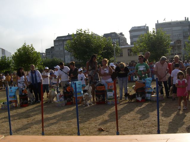 Concurso de perros mestizos el 21 de agosto Imgp0320