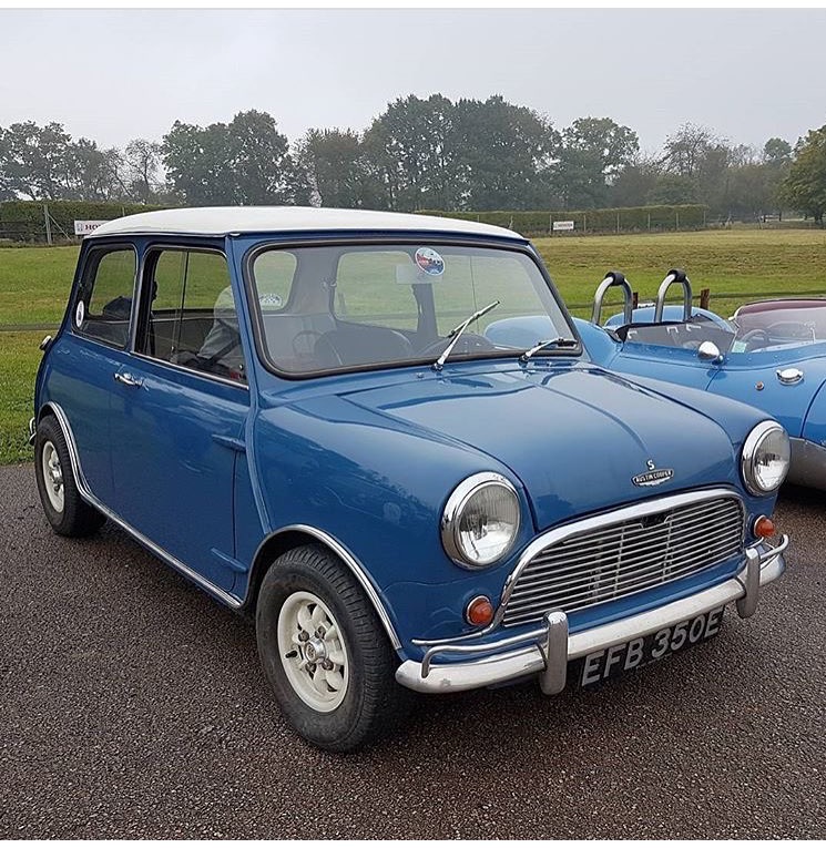 Trx 83: Austin Mini 1300 "Sealine" 1994 Img_5610