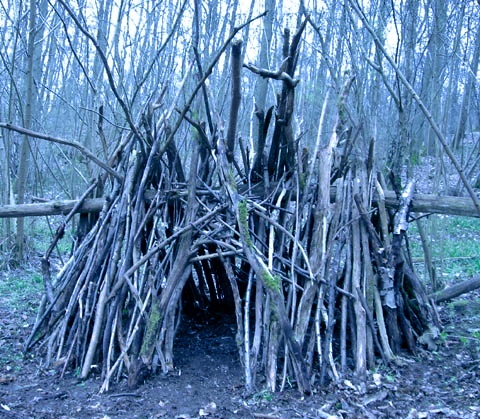 La cabane de la sorcière Cabane11