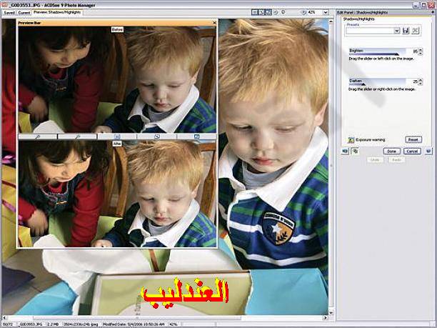   ACDSee Photo Manager 210