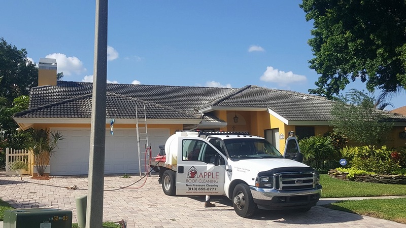 Tile Roof Cleaning In Tampa Florida Area Tile_r10