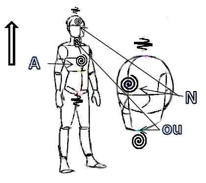 Le son dans la sphère rituelle Image114