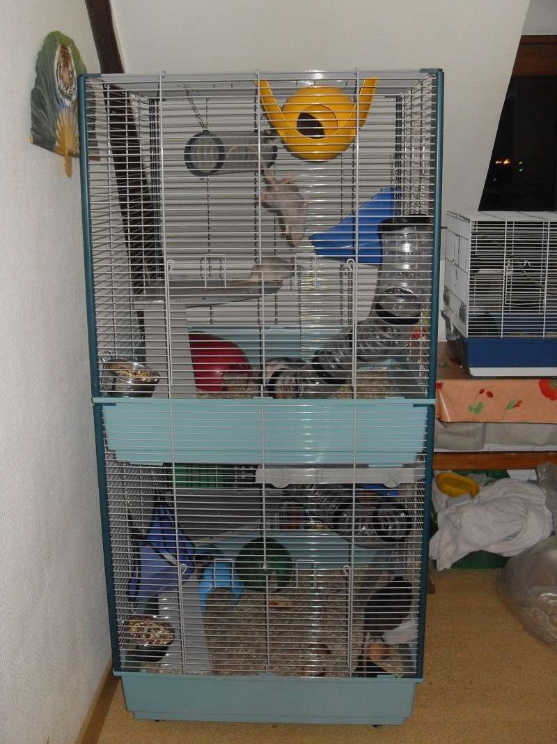 Ma nouvelle cage La_fur10