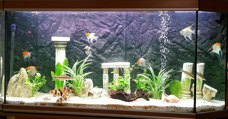 Mon 400 l Aqua_410