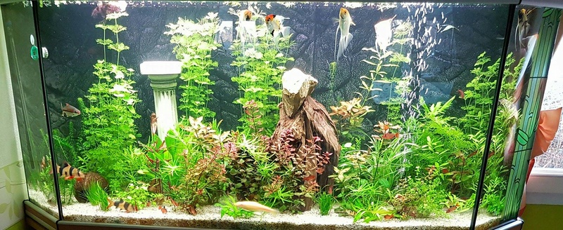 Mon 400 l Aqua_a10