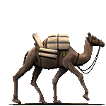 [INFOS Techniques] extincteur Camel12