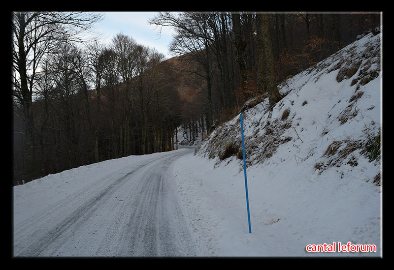 Observations du 23 janvier au 10 février 2017 Dsc_1610