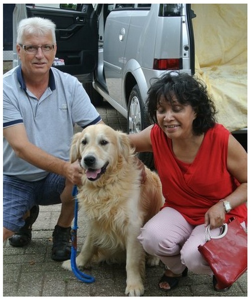 Box P24 - SHYPER golden retriever mâle né en 2007 -Delai rage terminé depuis le 1/08 Shyper11