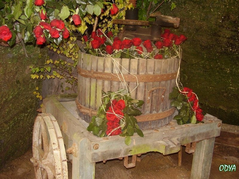DECORATION ET OBJETS INSOLITES AU JARDIN 2010_j27