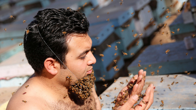 مصري يحقق شهرة عالمية بـ"لحية النحل" 5846d110
