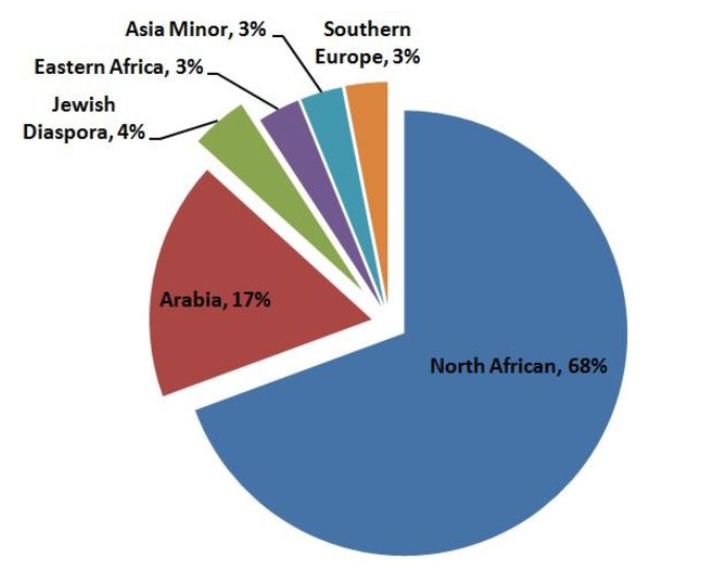 التحليل الجيني يثبت أن العرب ليسوا عربا تماما! 587f2c10