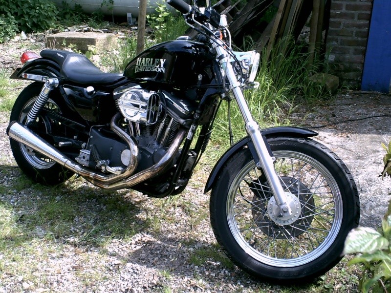 En 883... combien sommes nous sur le Forum Passion-Harley - Page 3 Pict3011