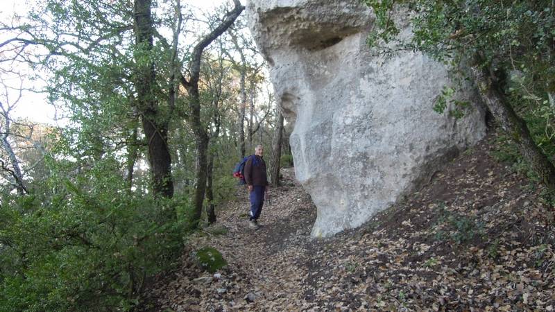 La Roque d'Antheron du jeudi 15 Decembre les photos de JM Dscn5221