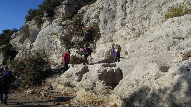 La Roque d'Antheron du jeudi 15 Decembre les photos de JM Dscn5228