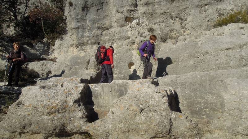 La Roque d'Antheron du jeudi 15 Decembre les photos de JM Dscn5229