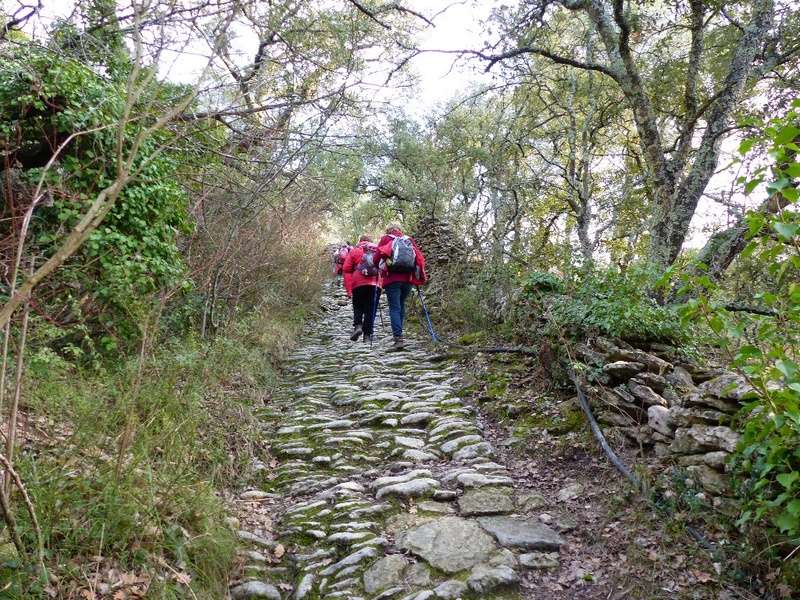 Photos complémentaires d'Arlette  a la rando plus calme de la Senancole le 2 Fevrier 2017 P1050535