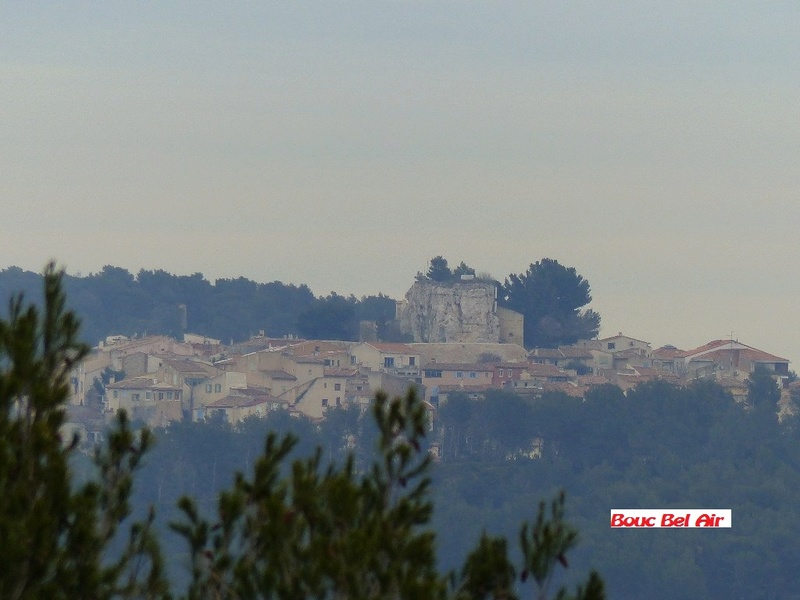 Photos Complémentaires d'Arlette de la rando plus calme aux 6 collines le 9 Fevrier 2017  P1050547