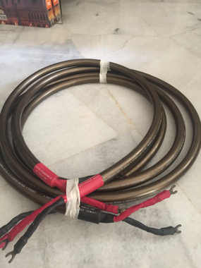 Cardas Hexlink Golden 5C 2.5M Speaker cable (Used) Sold Img_0421