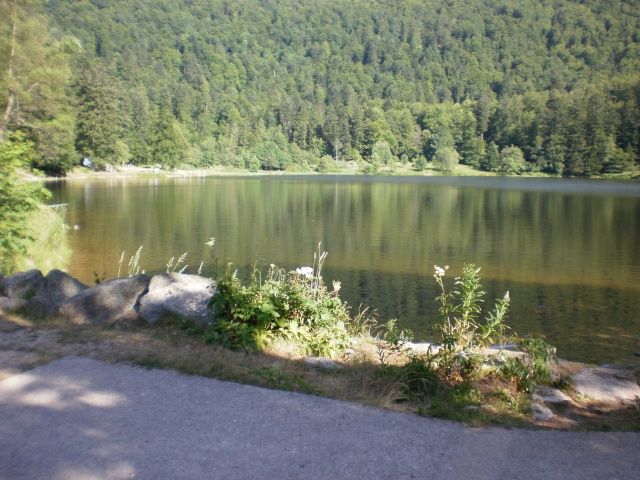 le tour des lacs vosgiens Lac_bl10