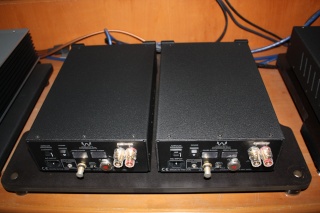 Wyred4Sound SX1000 Mono Amplifier (Used) Img_5414