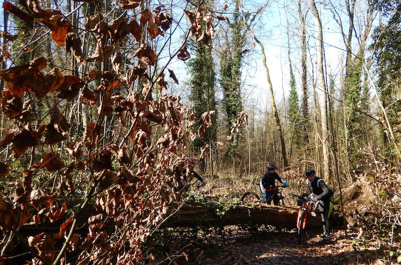 VTT dimanche 27/02 Dscn4515