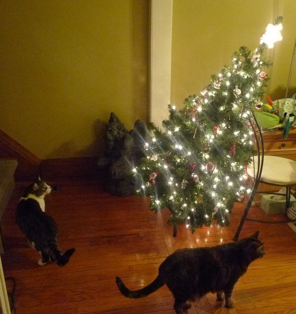nos animaux et le sapin The-in10