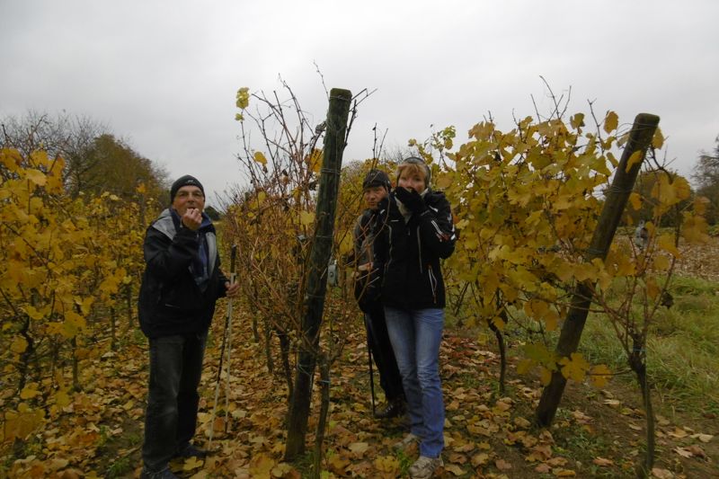 Marche du 2 Novembre 2016 P1010522