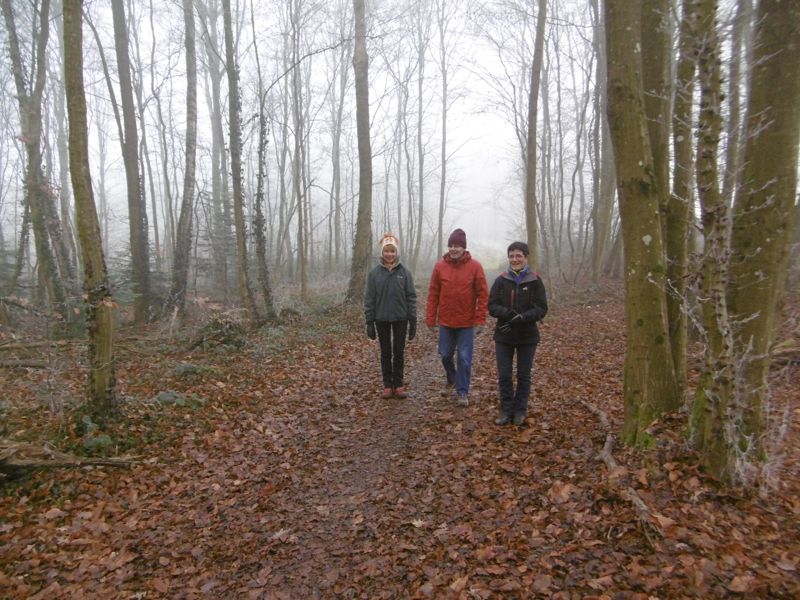 Marche à Altkirch 21/12 P1020215