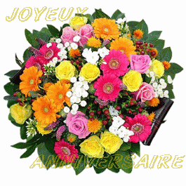 Joyeux anniversaire aux 2 pattes - Décembre 2016 Bouque10