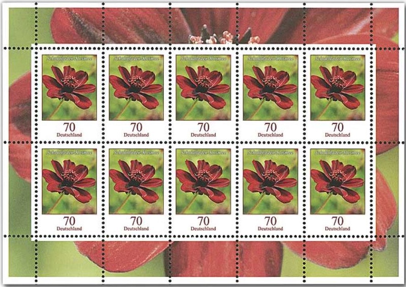 Blumengruß aus Deutschland - Dauerserie Blumen - Seite 2 070_sc11