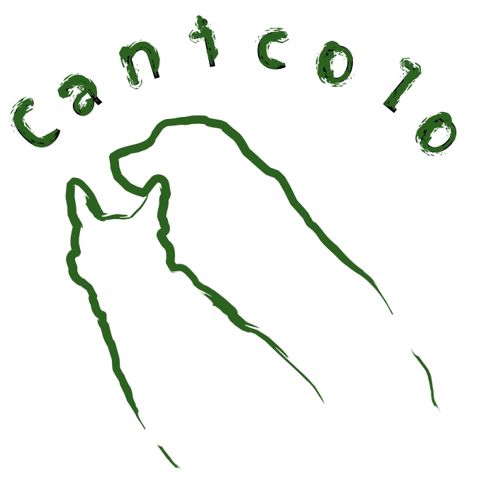 Quelques photos de chiens Canico10