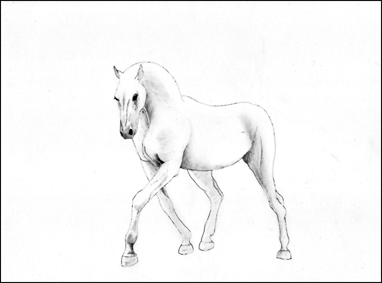Cheval blanc (stylo à bille) à partir d' Etape310