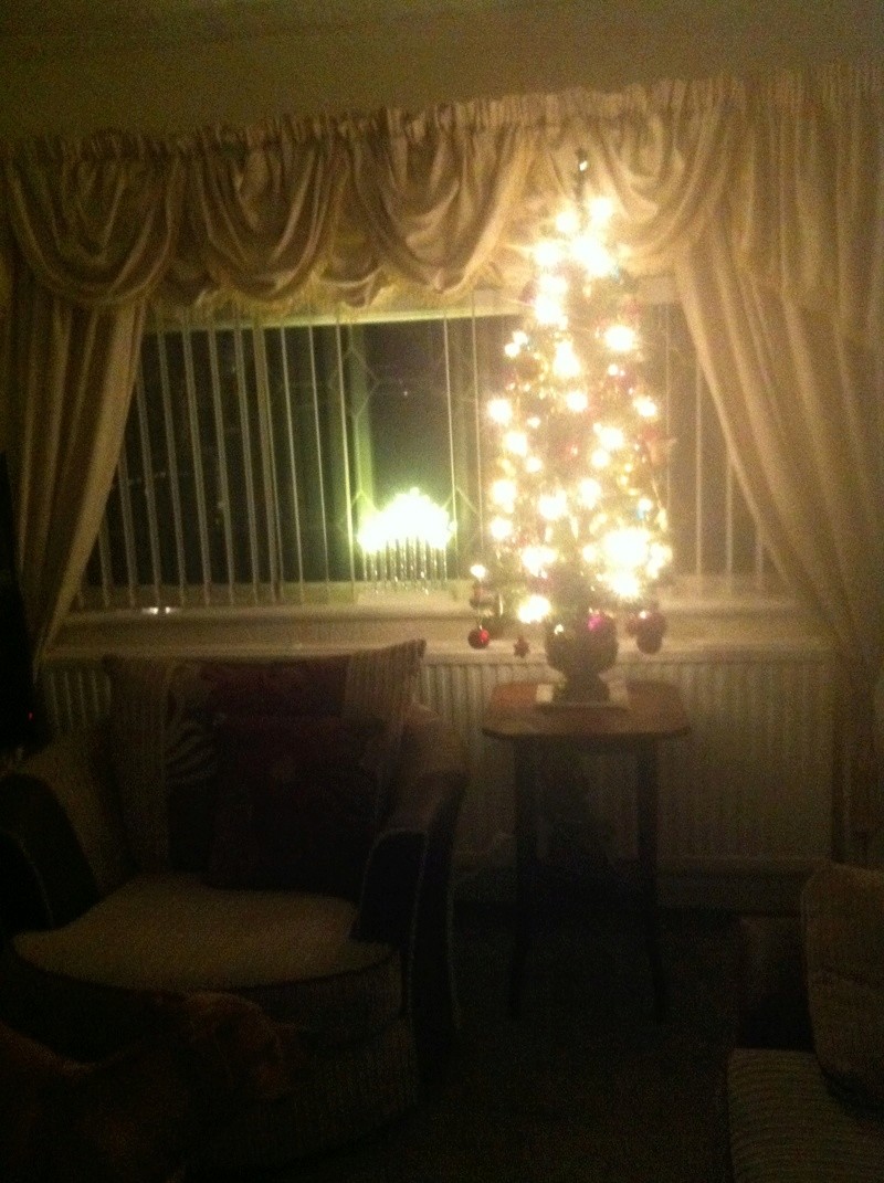 Got me Christmas Tree Up... 00212