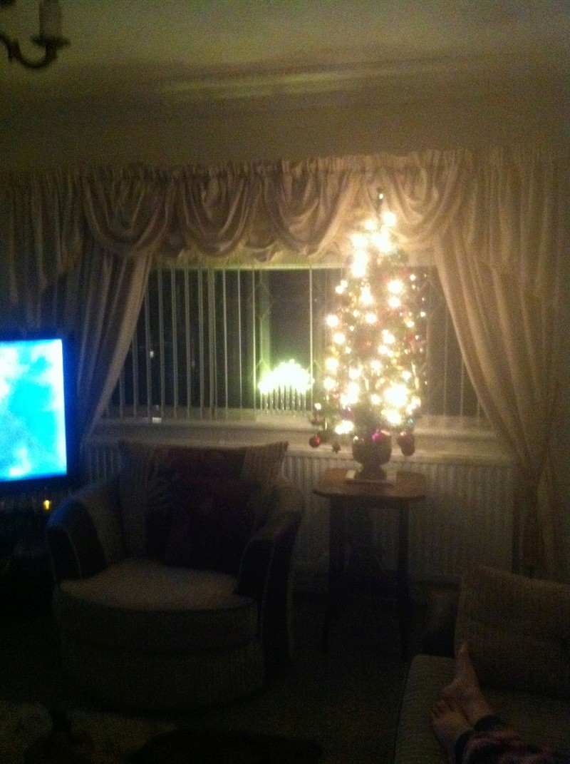 Got me Christmas Tree Up... 00510