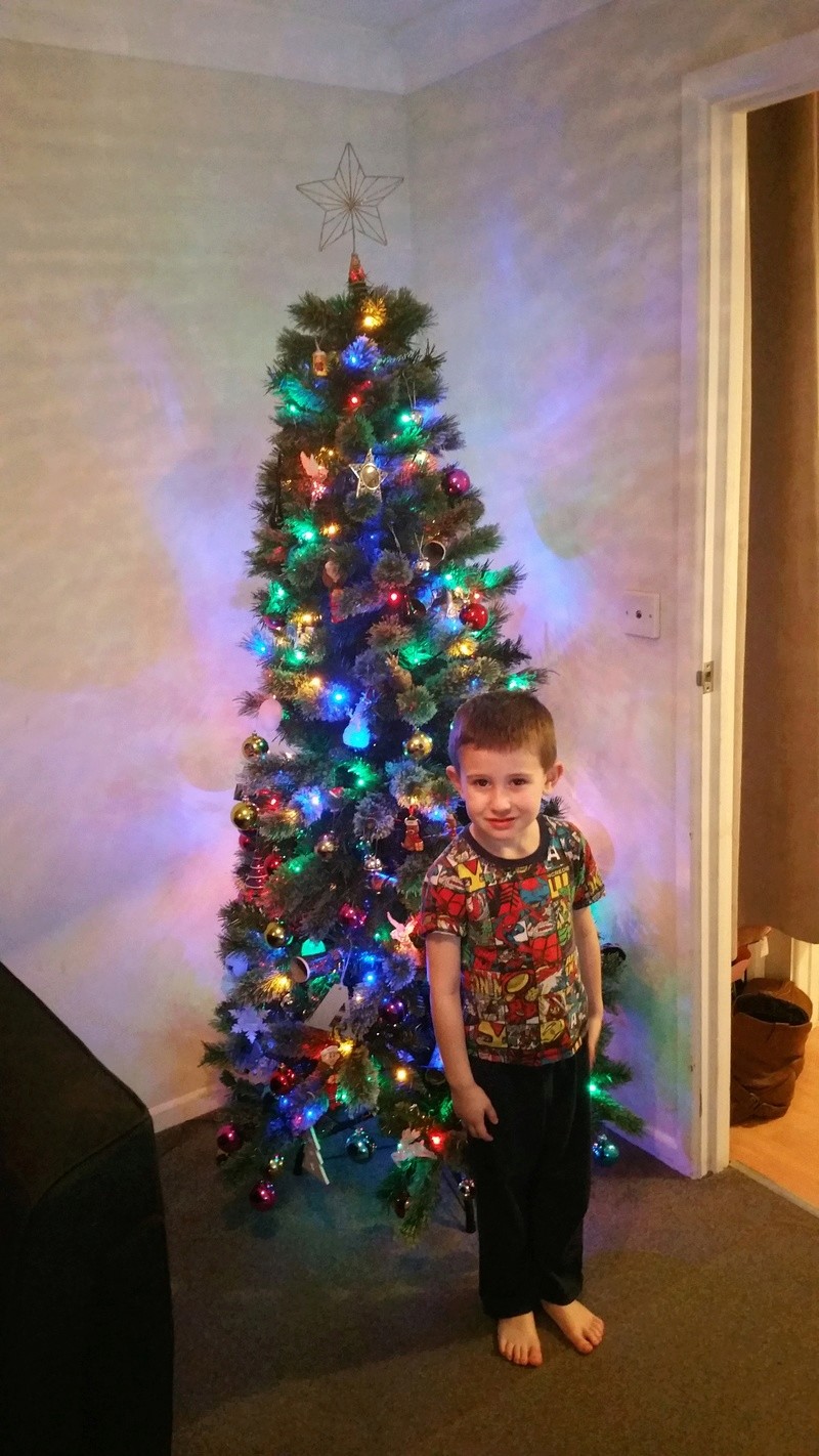 Got me Christmas Tree Up... Alfie_11