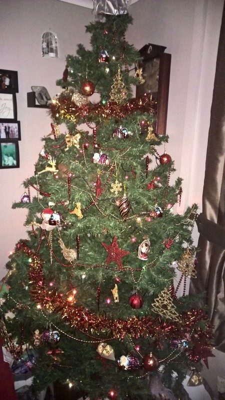 Got me Christmas Tree Up... Chris_25
