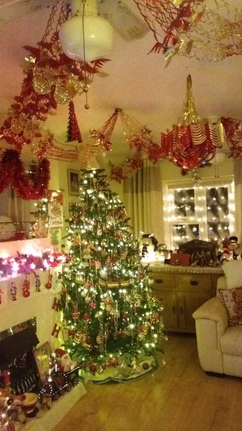 Got me Christmas Tree Up... Lofty_23