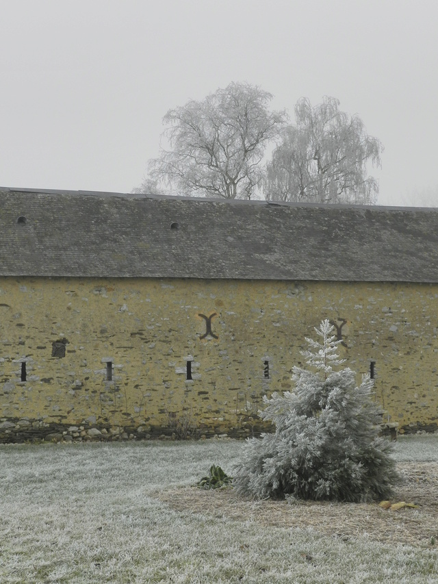 Dans l'Ouest nous sommes givrés... 31/12/2016 Vauvyr11