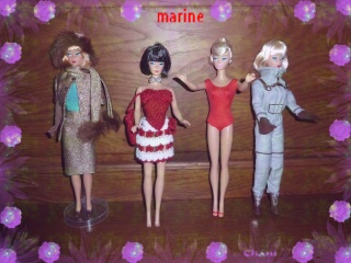 les barbies de marine P1050010