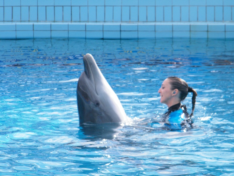 Delfini animali che sorridono!! Dscf1012