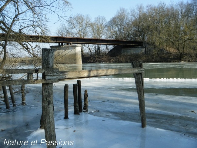 Présentation photos concours de janvier S10