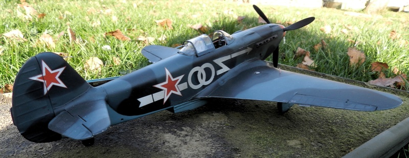 Yakovlev Yak-3 "Double-Zéro" (Delfino / Normandie-Niémen) - Special Hobby 1/32 Dscn4740