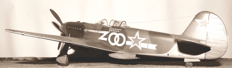 Yakovlev Yak-3 "Double-Zéro" (Delfino / Normandie-Niémen) - Special Hobby 1/32 Dscn4742
