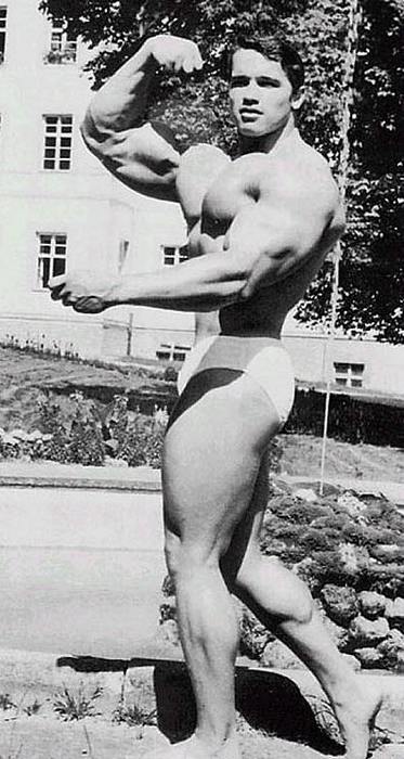 arnold - Arnold SCHWARZENEGGER - Page 3 Dz3w310