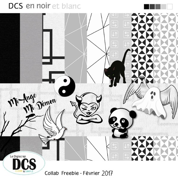 DCS en noir et blanc Dom10